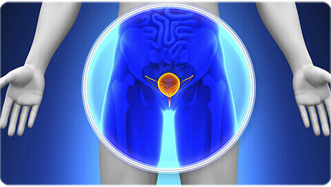 Prostate Health: Its Impact & Treatment by the Urologist in Agra 