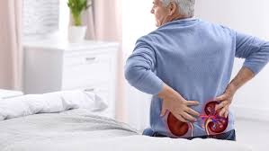 The Hidden Danger: How Kidney Stones Affect Senior Citizens – Expert Insights by Dr. Dilip Mishra, Urologist in Agra